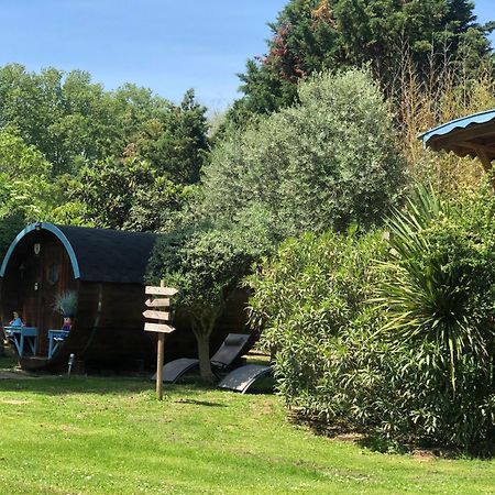 La Bastide De Negra Panzió Montesquieu-Lauragais Kültér fotó