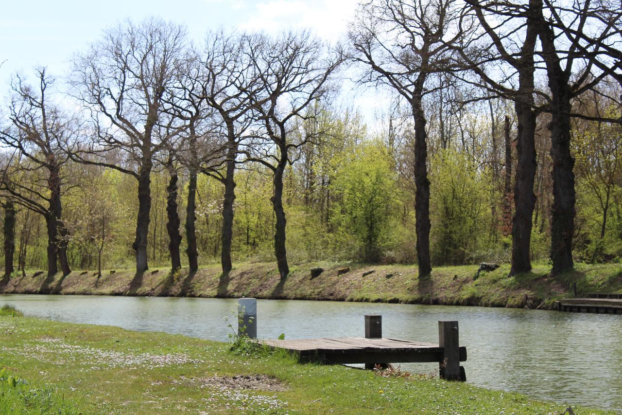 La Bastide De Negra Panzió Montesquieu-Lauragais Kültér fotó